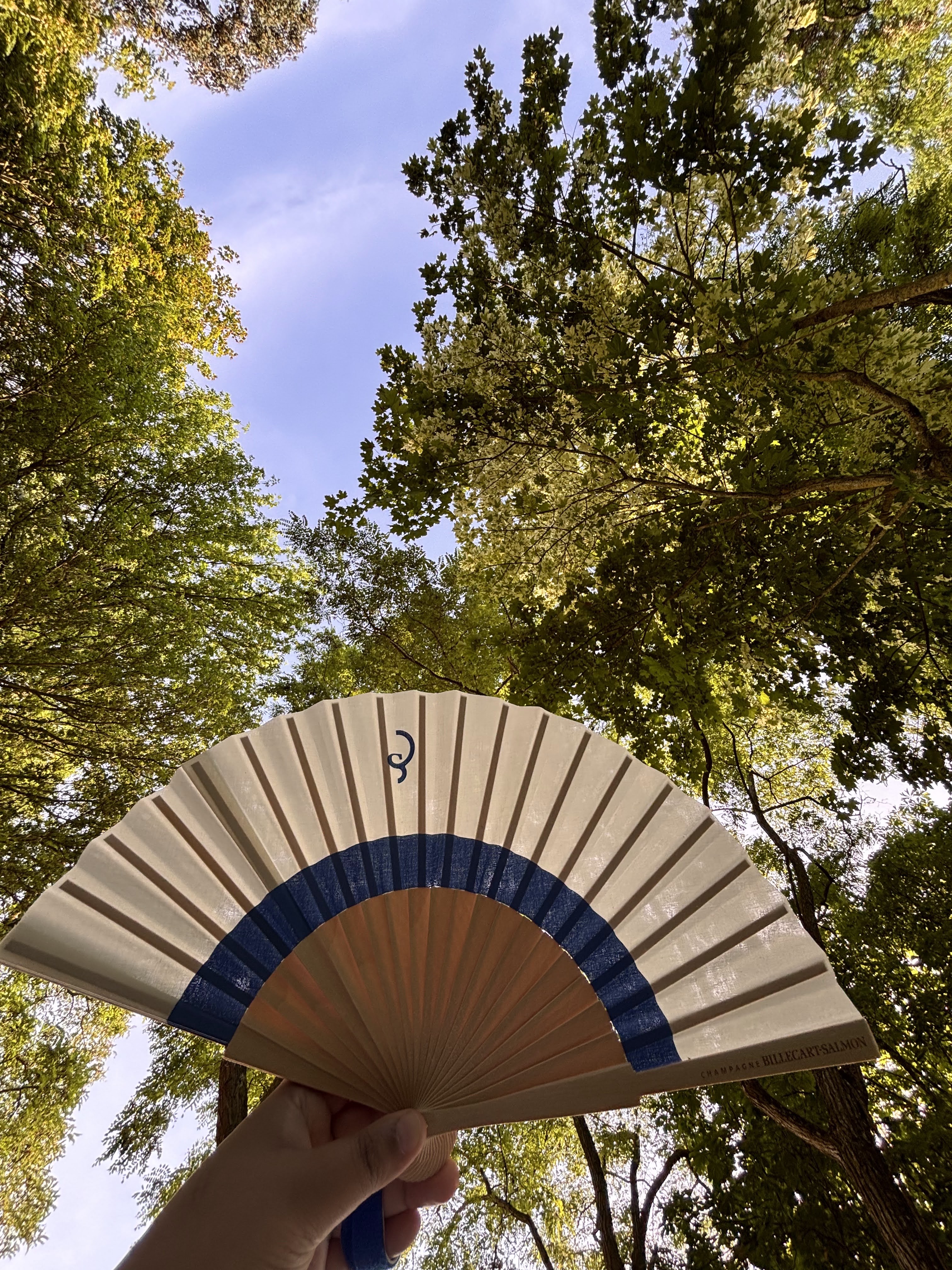 A hand holding a decorative fan against a backdrop of tall trees and a blue sky.