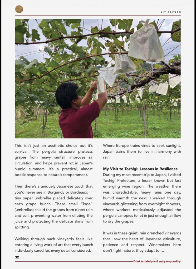 Mohona Chowdhury feature on Japanese wine, Beaune to Tochigi, in Wine and Spirits Club of India, page 3 of 4
