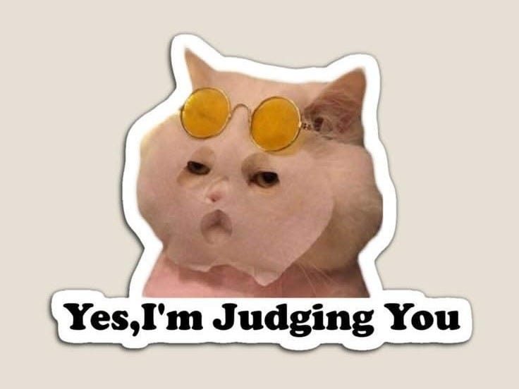 A fluffy white cat wearing yellow sunglasses with a caption that reads 'Yes, I'm Judging You.'