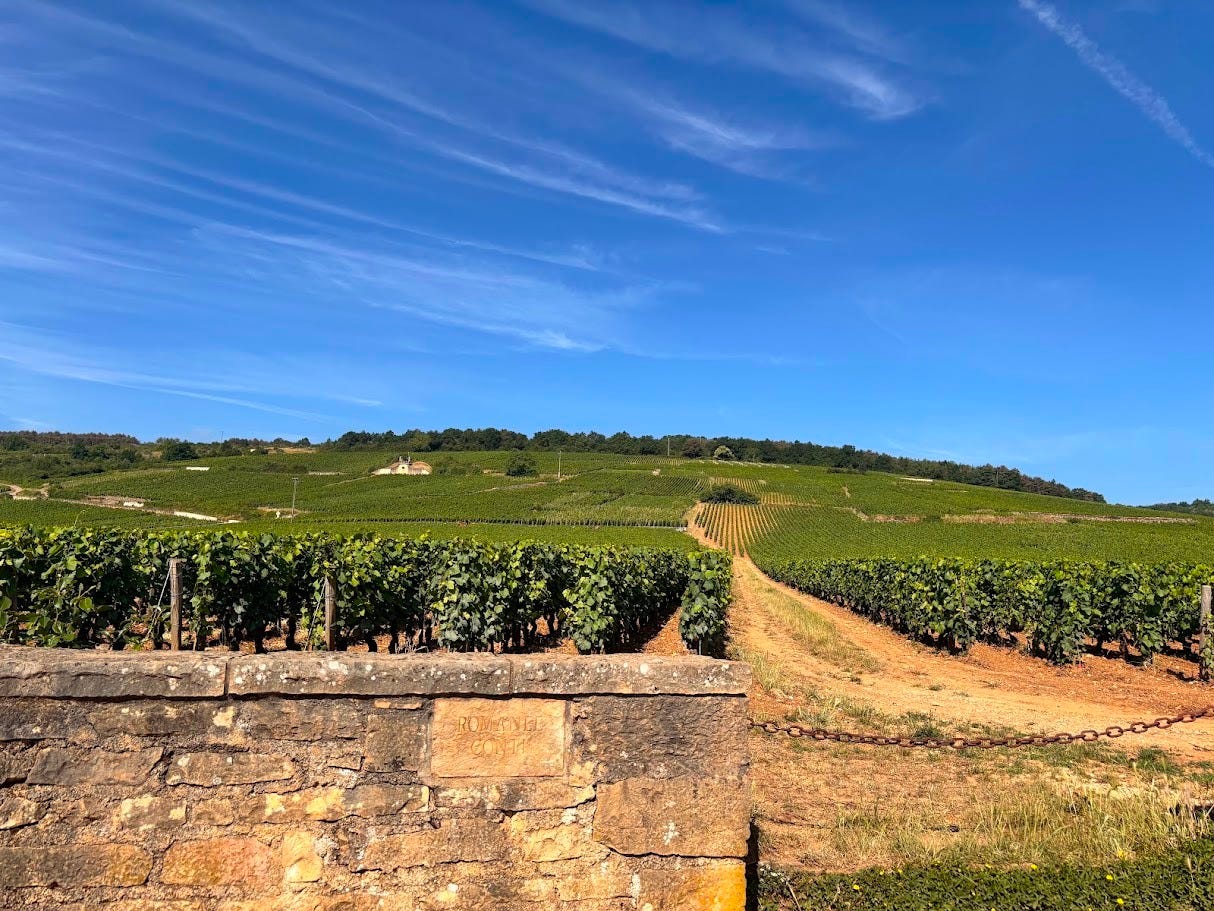 A scenic view of a vineyard landscape featuring rows of grapevines under a clear blue sky, with a stone wall in the foreground.
