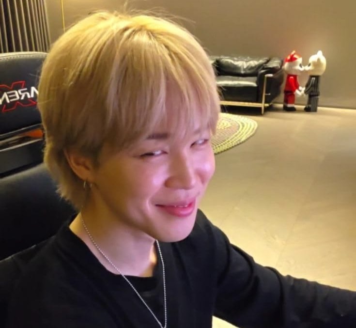 A smiling young person with light blond hair seated in front of a computer, displaying a playful expression. In the background, there is a black couch and two decorative figures.