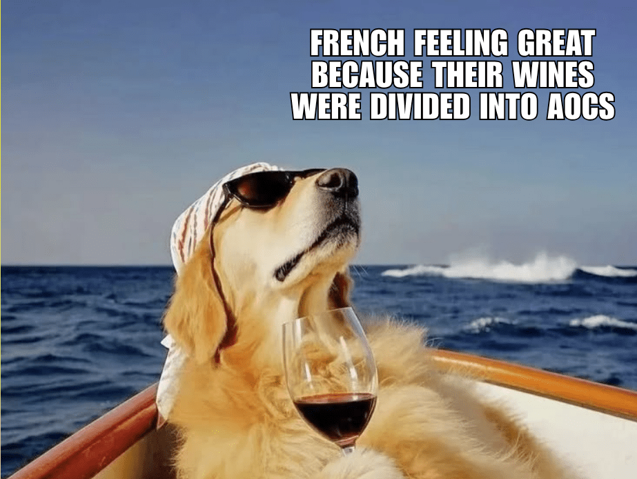 A golden retriever wearing sunglasses and a patterned scarf, lounging in a boat with a glass of red wine against a scenic ocean backdrop.